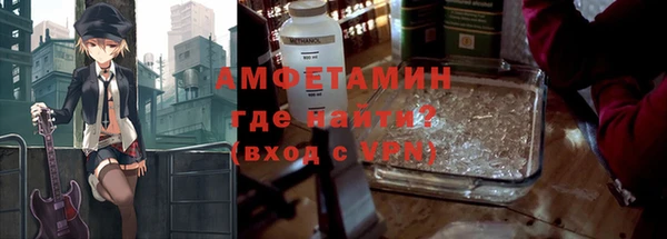 шишки Кодинск