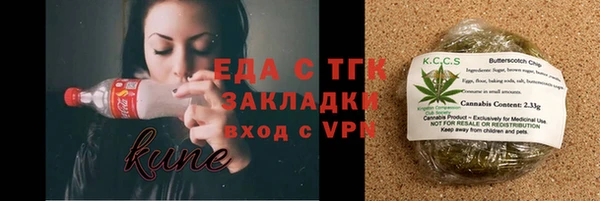 шишки Кодинск