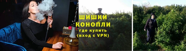 винт Козловка