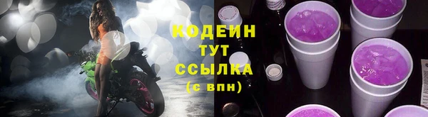 шишки Кодинск