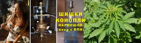 шишки Кодинск