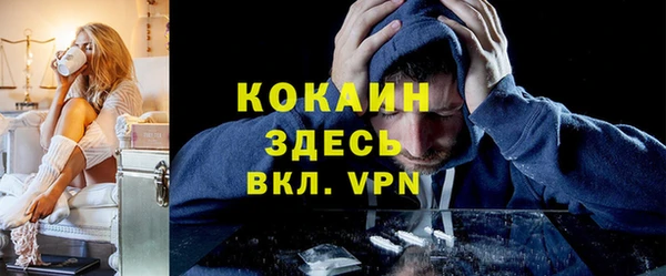 шишки Кодинск