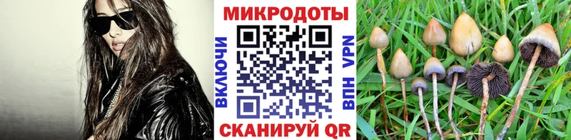 Псилоцибиновые грибы Psilocybine cubensis  Купить закладки  Мещовск 